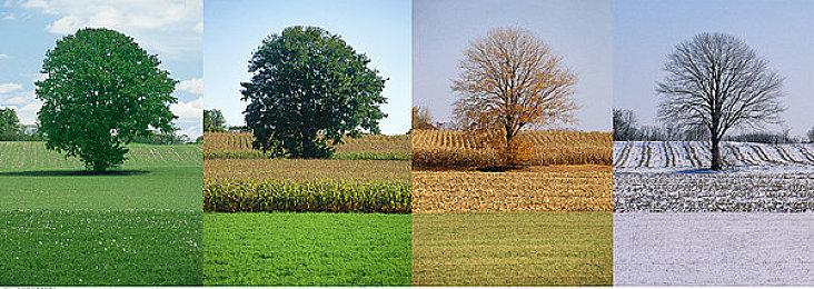 在Epic购买游戏领取游戏太卡？Epic官方提供小建议